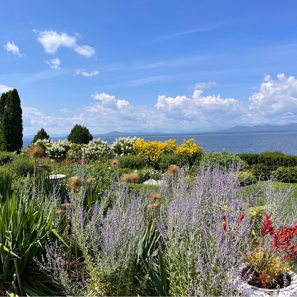 Meet your Posher, Deeksha